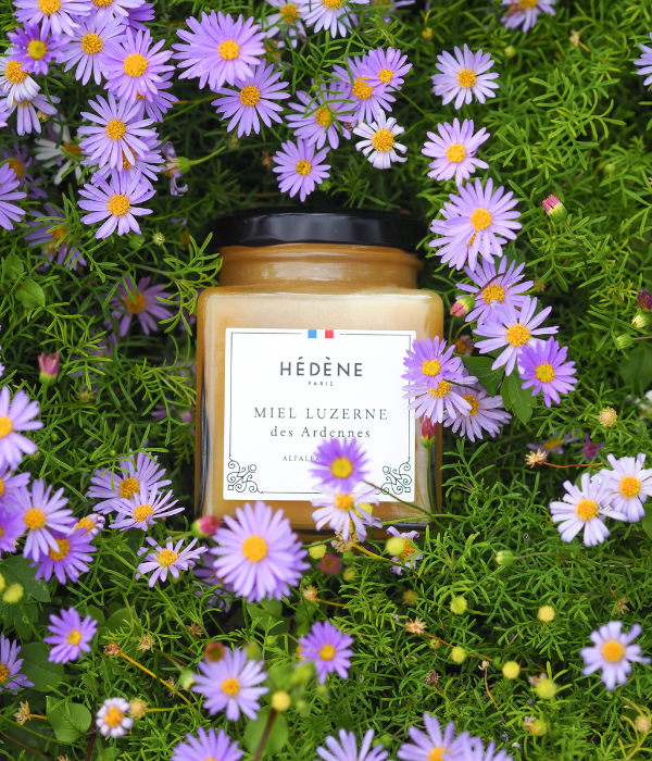 Alfalfa honey from the Ardennes harvested in France