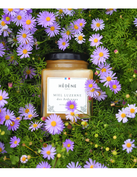 Alfalfa honey from the Ardennes harvested in France