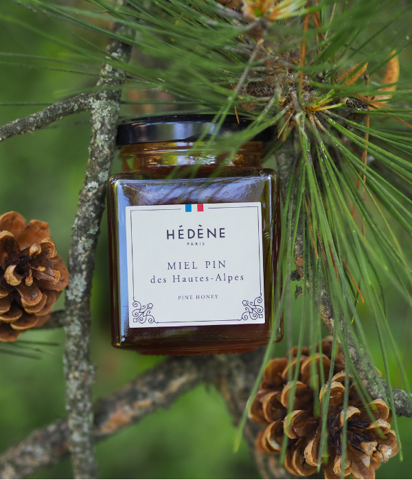 Miel Pin des Hautes-Alpes récolté en France