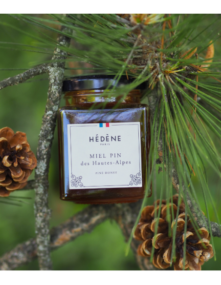 Miel Pin des Hautes-Alpes récolté en France