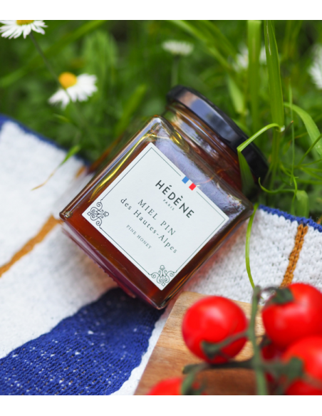 Miel Pin des Hautes-Alpes récolté en France