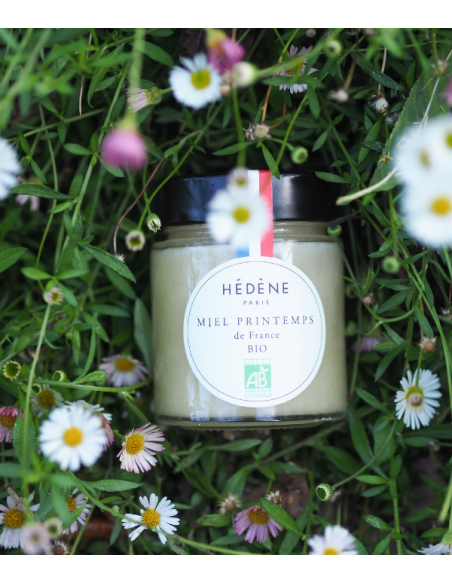 Organic Spring Honey harvested in France