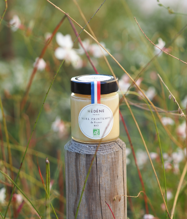 Miel Printemps BIO récolté en France