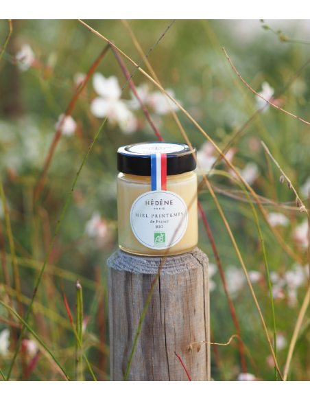 Miel Printemps BIO récolté en France