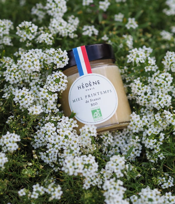 Organic Spring Honey harvested in France