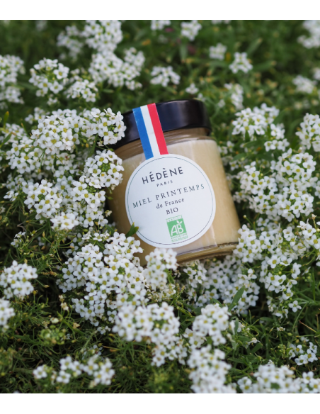Organic Spring Honey harvested in France