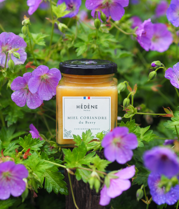 Miel Coriandre du Berry récolté en France