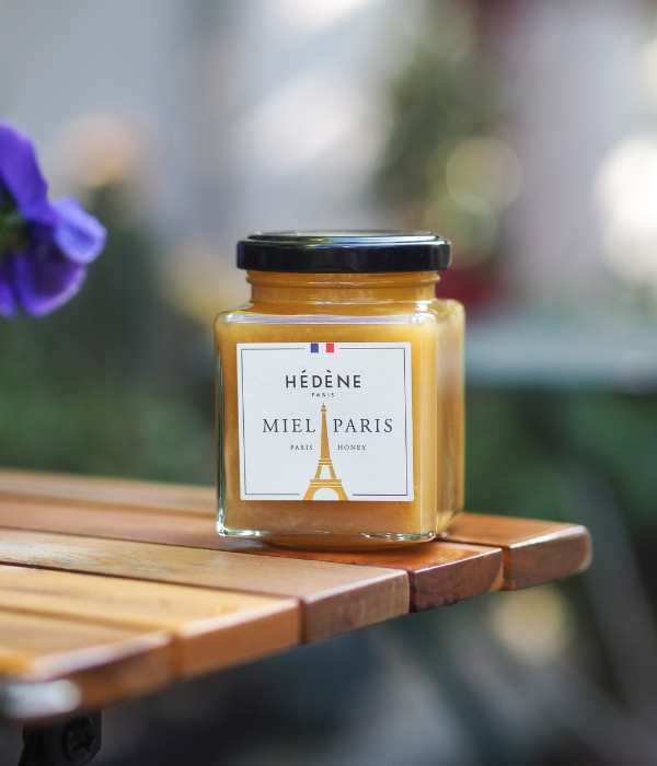 Paris Honey harvested in France