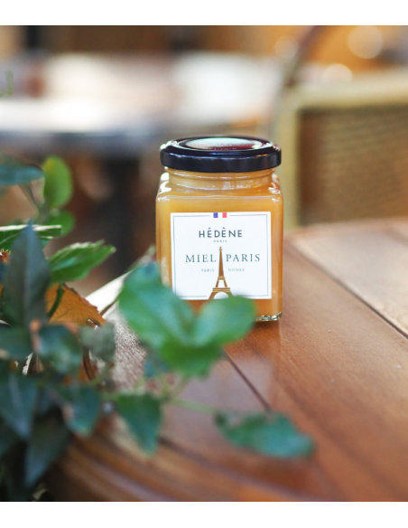 Miel de Paris récolté en France