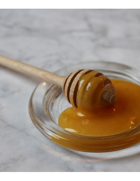 Honey Spoon from France