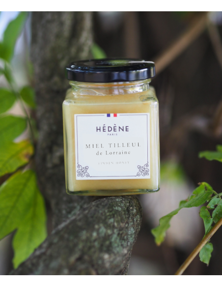 Lime blossom honey from Lorraine in France