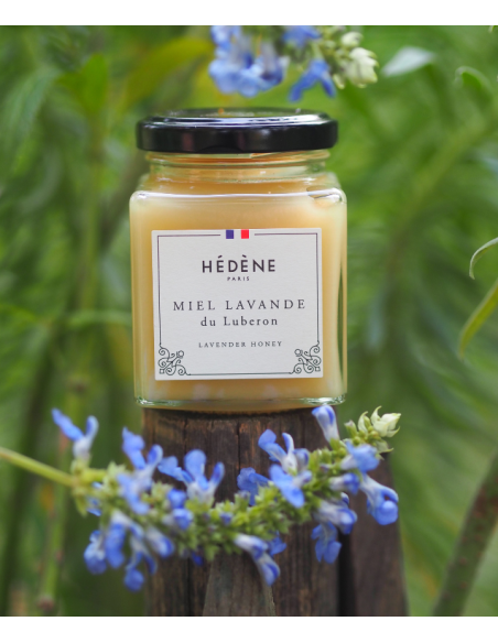 Lavender honey from Luberon harvested in France