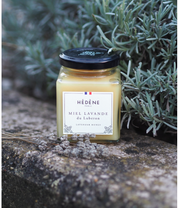 Lavender honey from Luberon harvested in France
