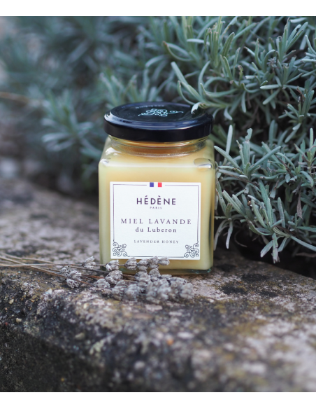 Lavender honey from Luberon harvested in France