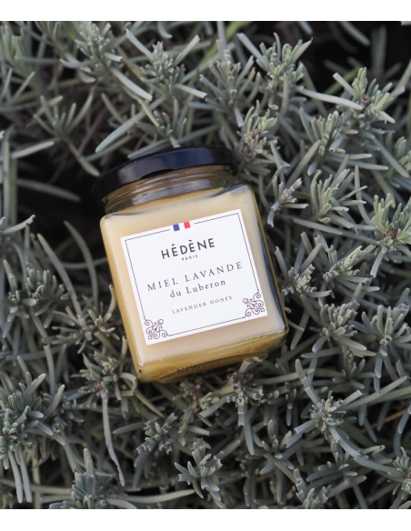 Lavender honey from Luberon harvested in France