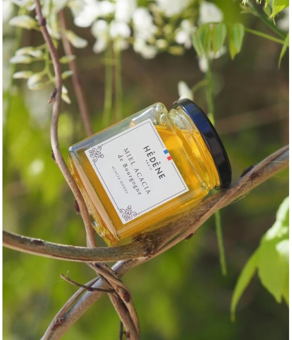 Acacia honey from Burgundy harvested in France