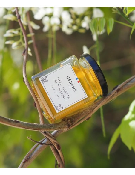 Acacia honey from Burgundy harvested in France