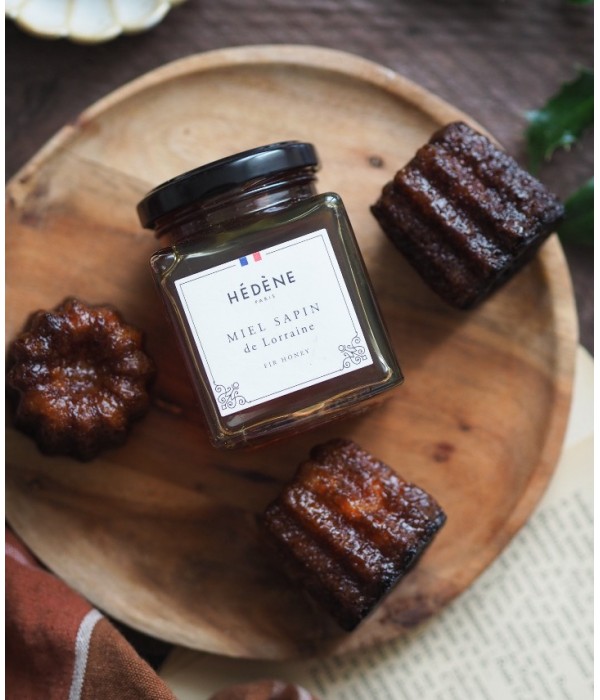 Miel Sapin de Lorraine récolté en France