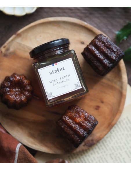 Miel Sapin de Lorraine récolté en France