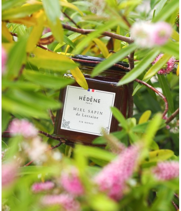 Fir Honey from Lorraine harvested in France