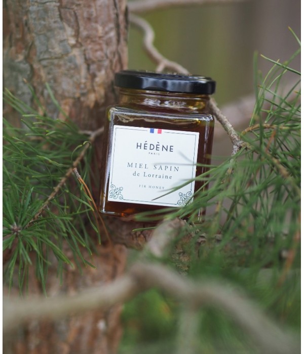 Fir Honey from Lorraine harvested in France