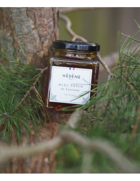Miel Sapin de Lorraine récolté en France