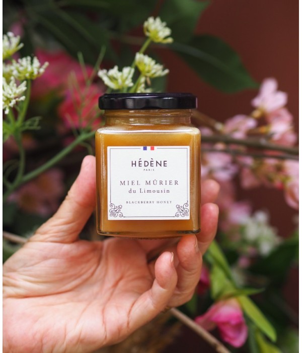 Limousin blackberry Honey harvested in France