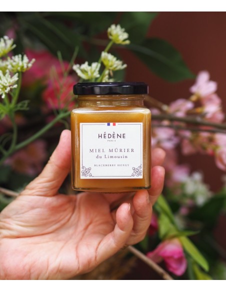 Miel Mûrier du Limousin récolté en France