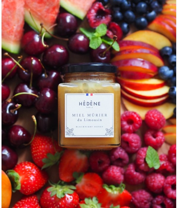 Miel Mûrier du Limousin récolté en France