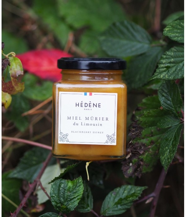 Limousin blackberry Honey harvested in France