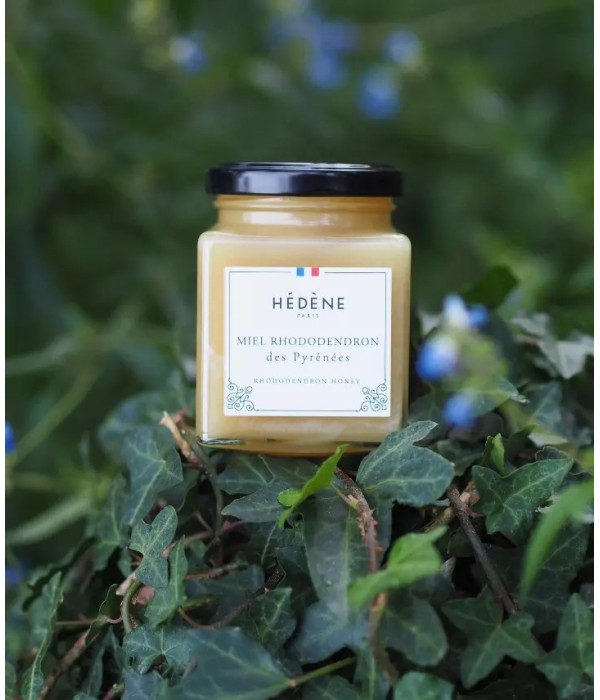 Rhododendron honey from the Pyrenees harvested in France