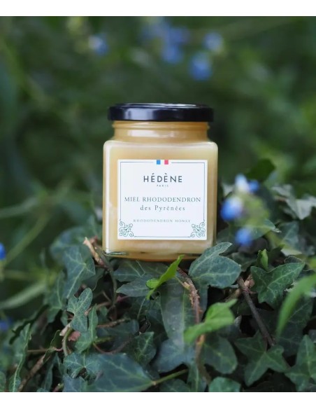 Rhododendron honey from the Pyrenees harvested in France