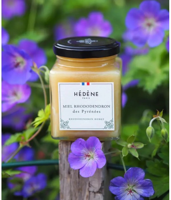 Rhododendron honey from the Pyrenees harvested in France