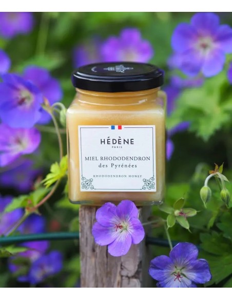 Rhododendron honey from the Pyrenees harvested in France