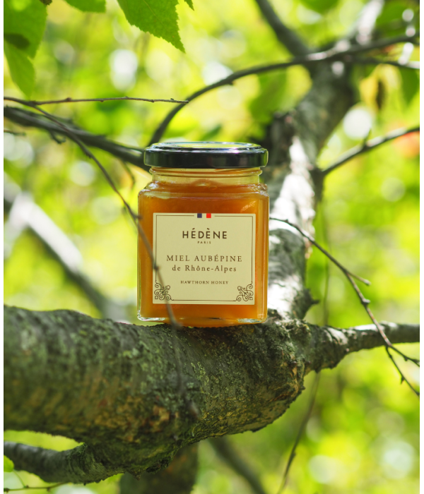 Miel Aubépine de Rhône-Alpes récolté en France