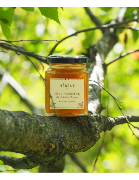 Miel Aubépine de Rhône-Alpes récolté en France