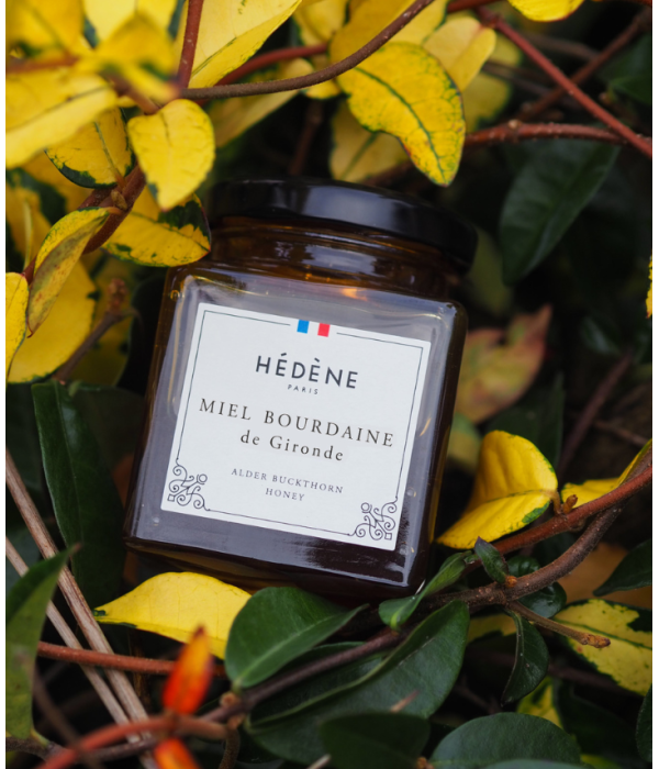 Alder Buckthorn Honey from Gironde harvested in France