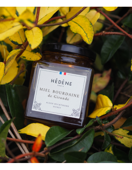 Alder Buckthorn Honey from Gironde harvested in France