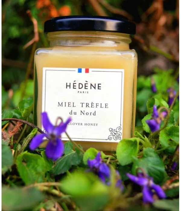 Clover Honey from North harvested in France 2