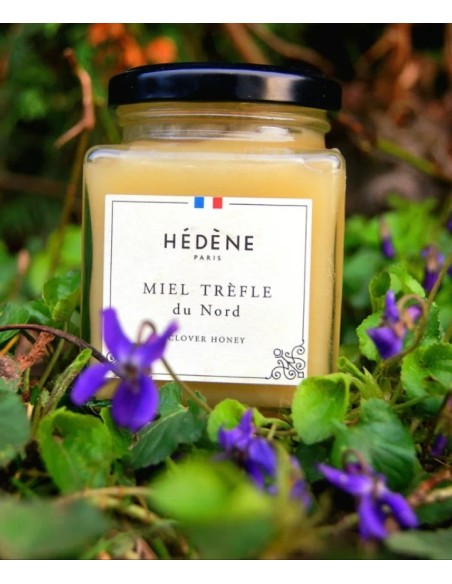 Clover Honey from North harvested in France