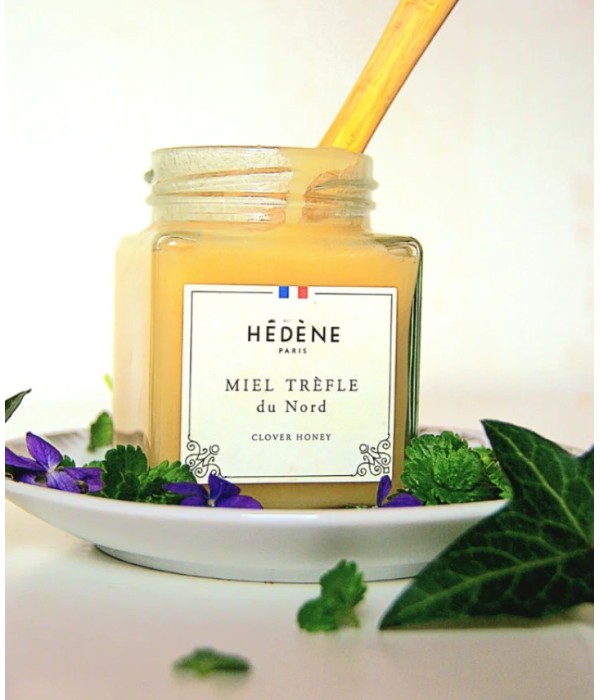 Clover Honey from North harvested in France