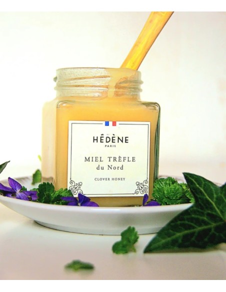 Clover Honey from North harvested in France