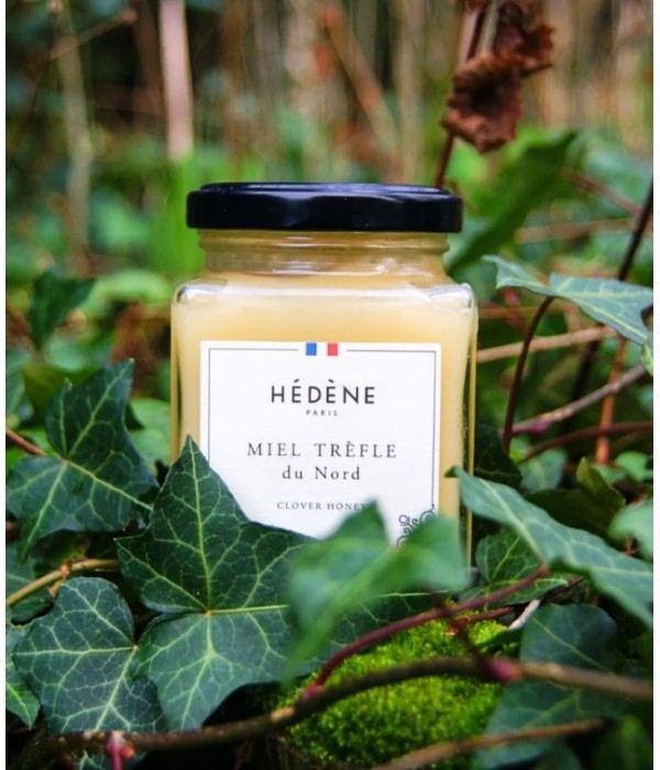 Clover Honey from North harvested in France