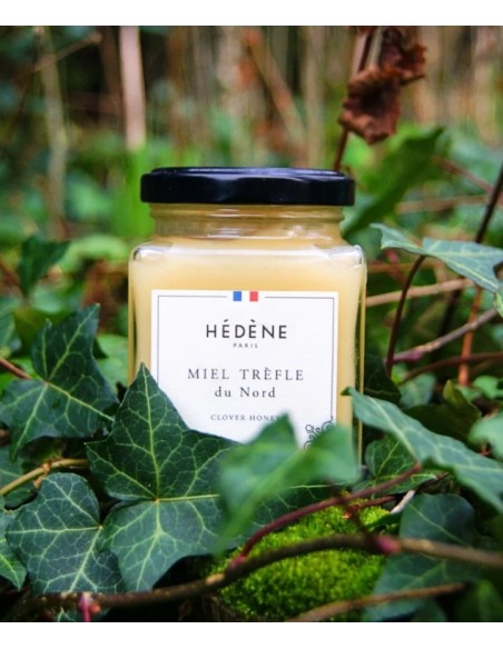 Clover Honey from North harvested in France