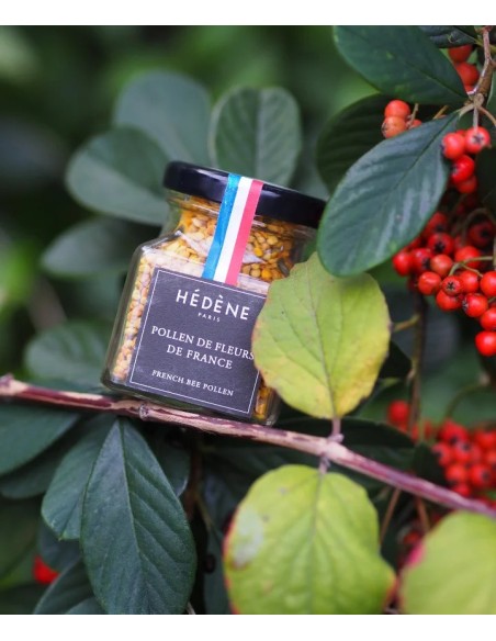 Pollen de Fleurs récolté en France