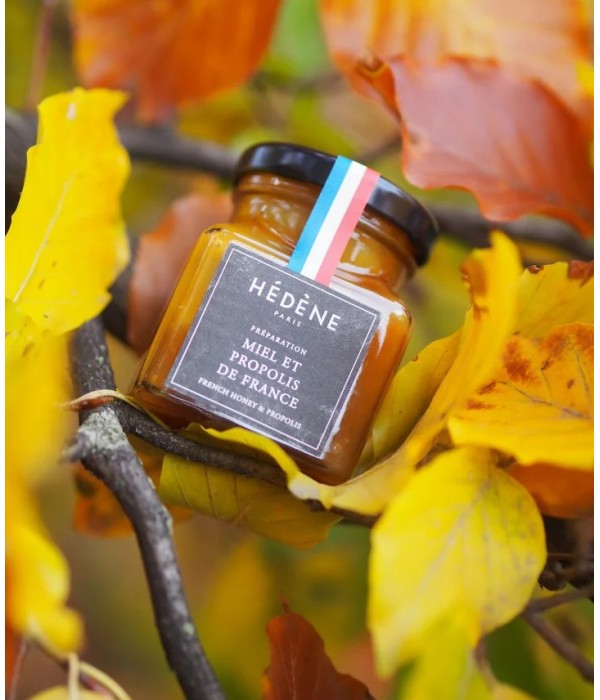 Honey and Propolis harvested in France 2