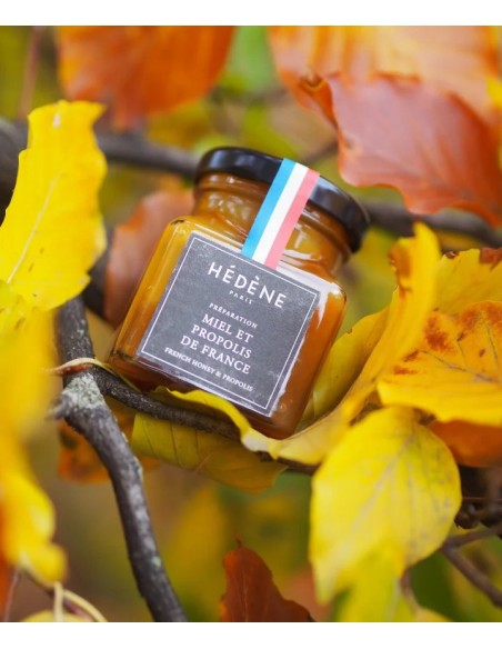 Honey and Propolis harvested in France