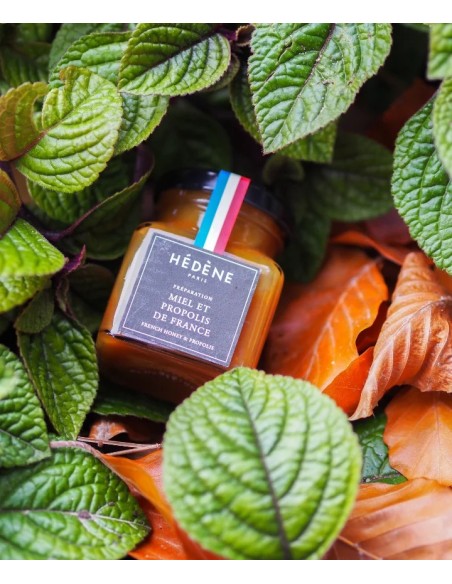 Miel et Propolis de France
