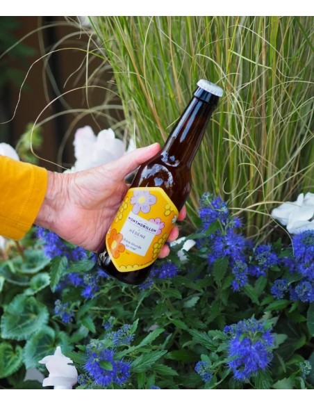 Bière Blonde au miel de France BIO