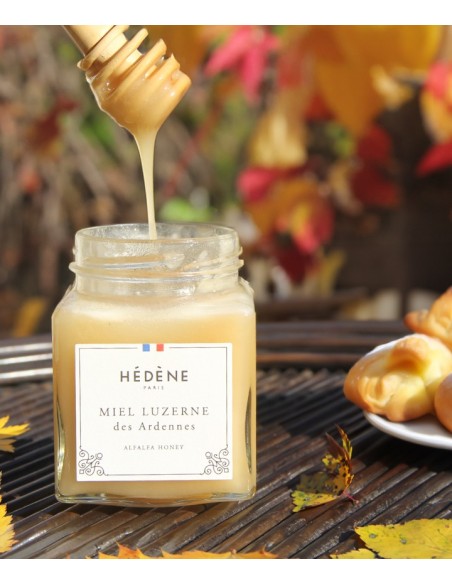 Miel Luzerne des Ardennes récolté en France